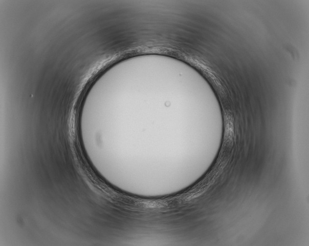 X0000111930678200909071239