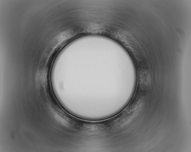 X0000111930679200909071239