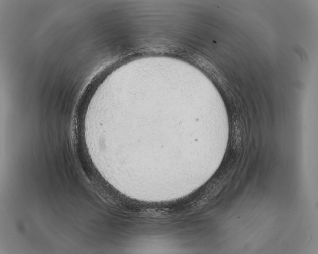 X0000111930680200909071239