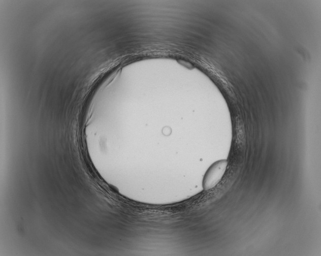 X0000111930681200909071239