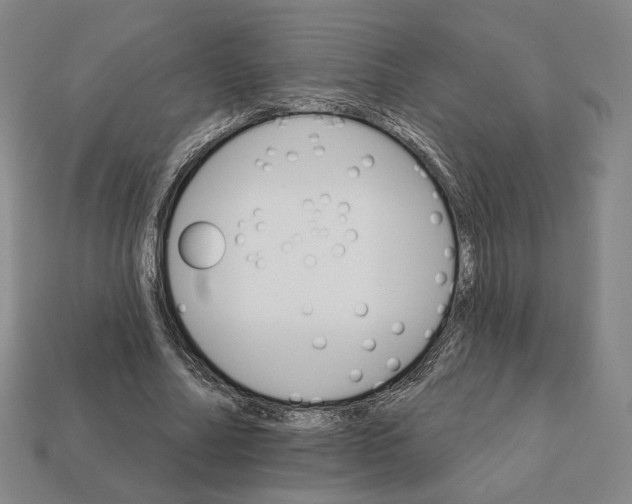 X0000111930682200909071239