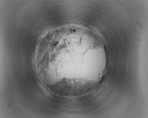 X0000111930683200909071239