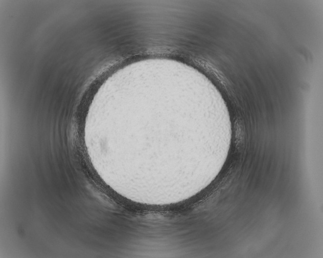 X0000111930684200909071239