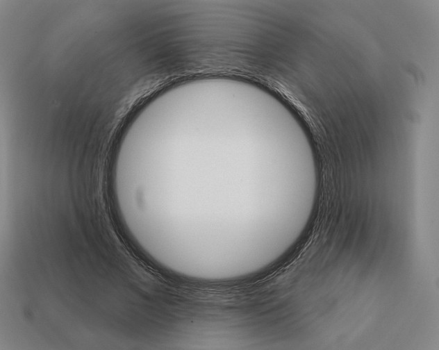 X0000111930685200909071239