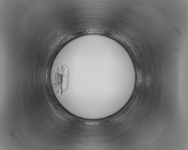 X0000111930690200909071239