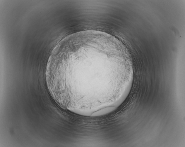 X0000111930691200909071239