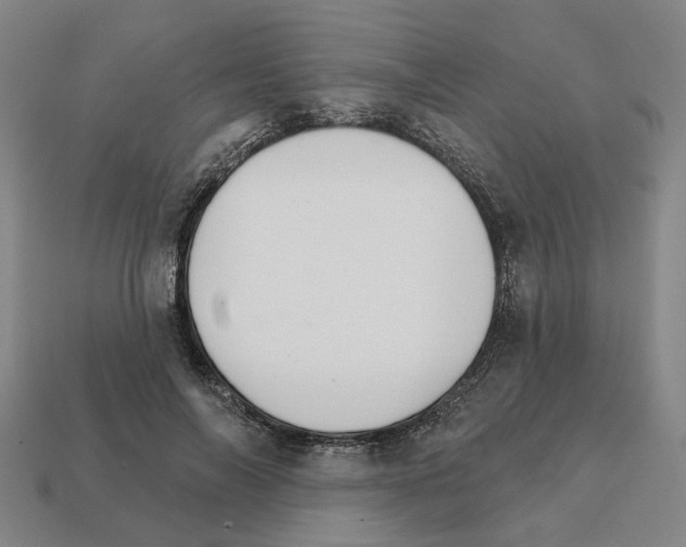 X0000111930694200909071239