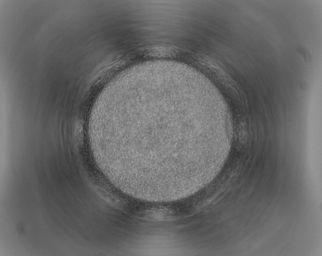 X0000111930696200909071239