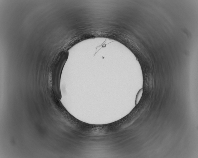 X0000111930700200909071239