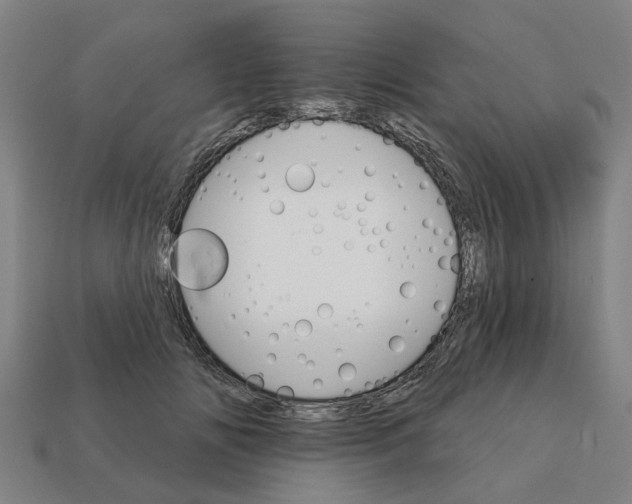 X0000111930702200909071239