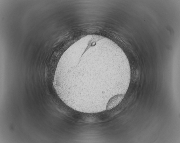 X0000111930704200909071239