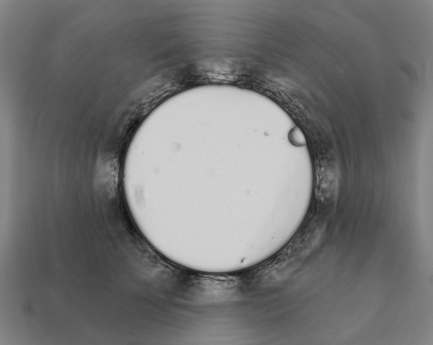 X0000111930707200909071239