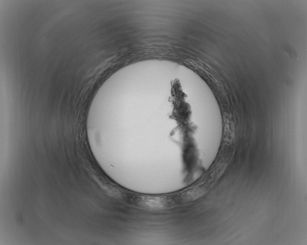 X0000111930710200909071239