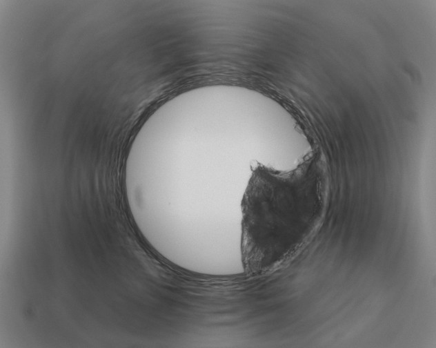 X0000111930715200909071238