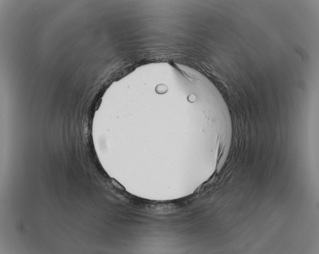 X0000111930716200909071238