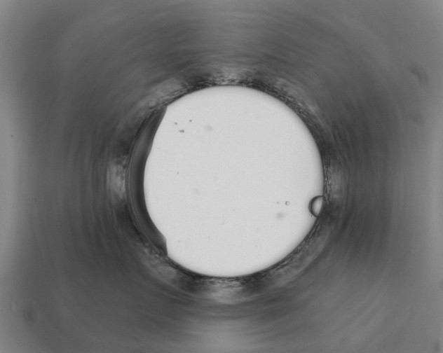 X0000111930719200909071238