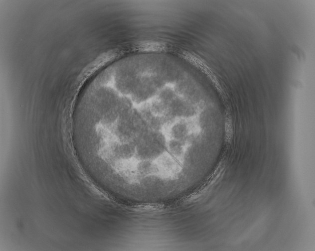 X0000111930721200909071238