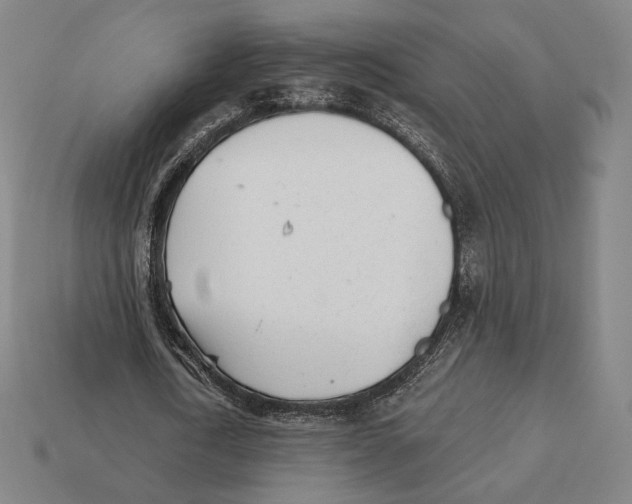 X0000111930722200909071238