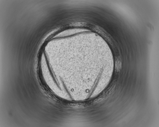 X0000111930724200909071238