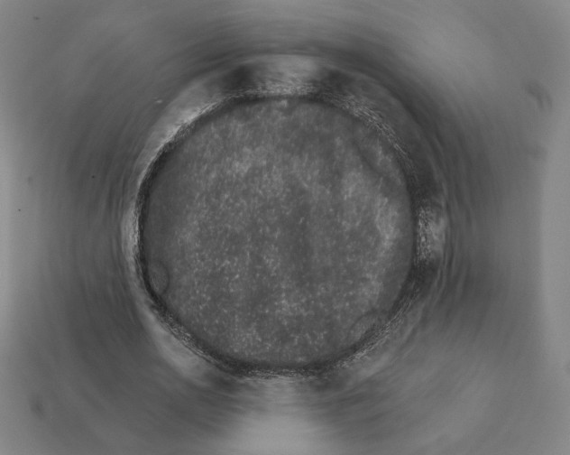 X0000111930726200909071238