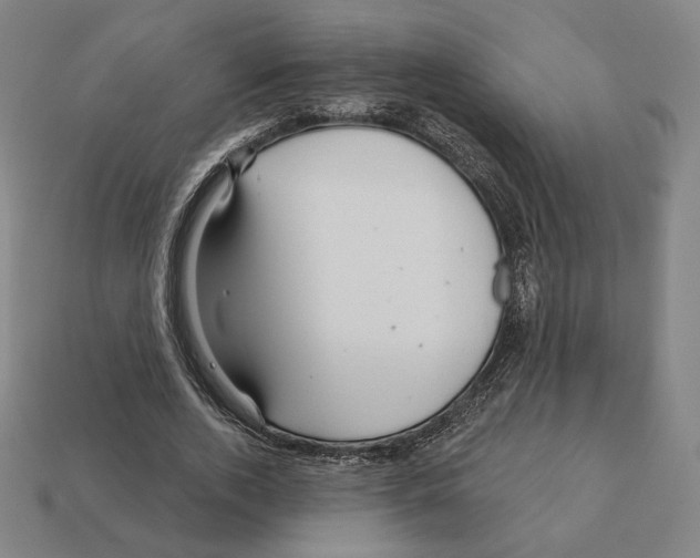 X0000111930728200909071238