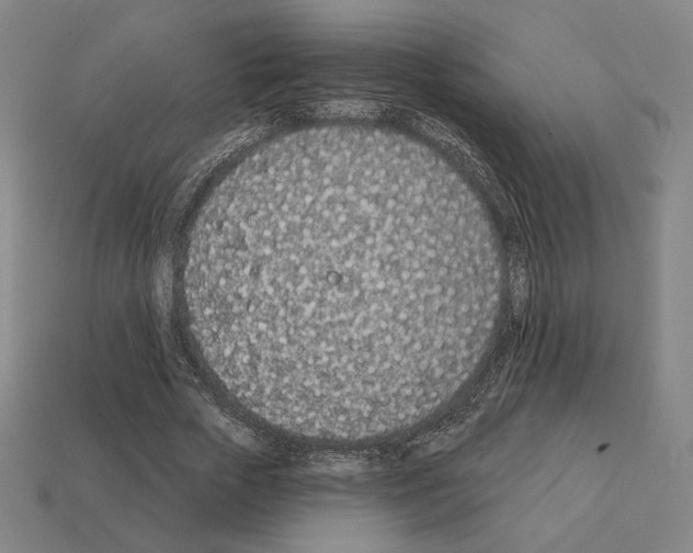 X0000111930729200909071238