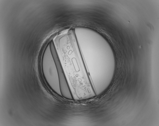 X0000111930730200909071238