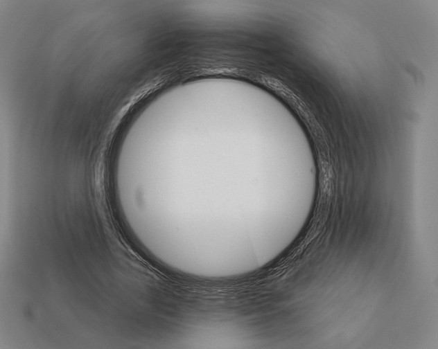 X0000111930731200909071238