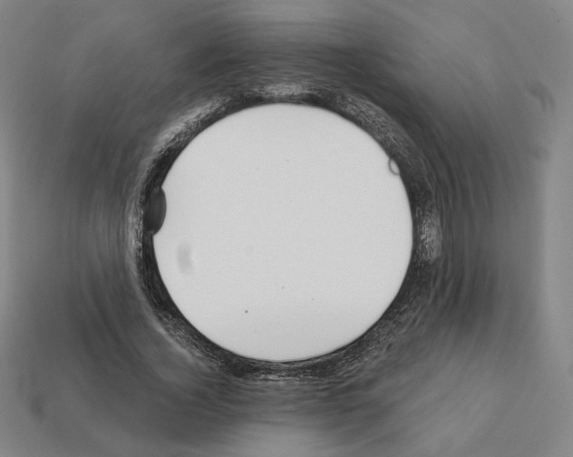 X0000111930732200909071238