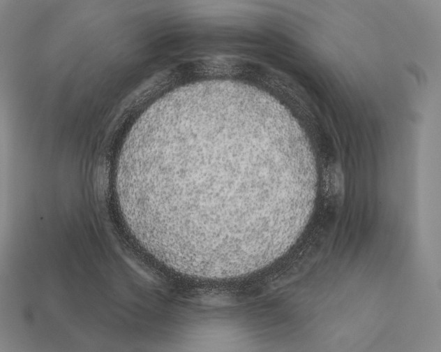 X0000111930733200909071238