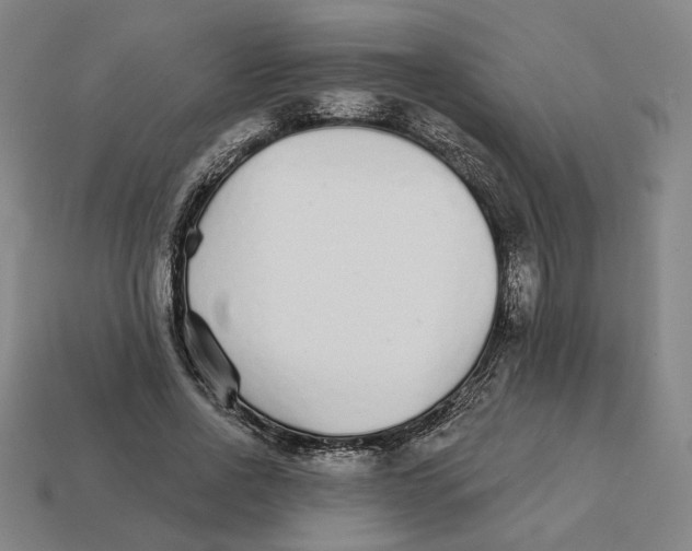 X0000111930734200909071238