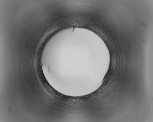 X0000111930736200909071238