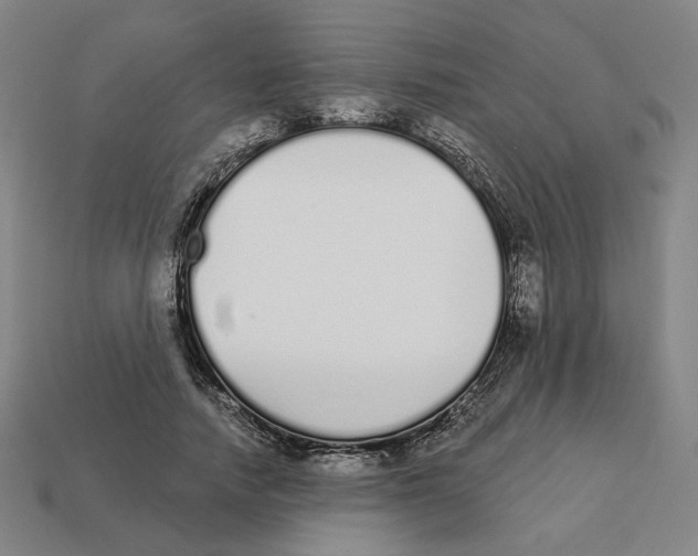 X0000111930738200909071238