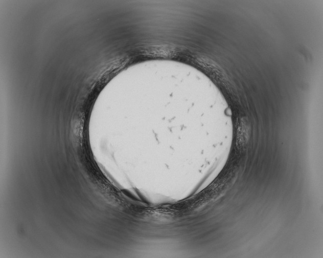 X0000111930739200909071238