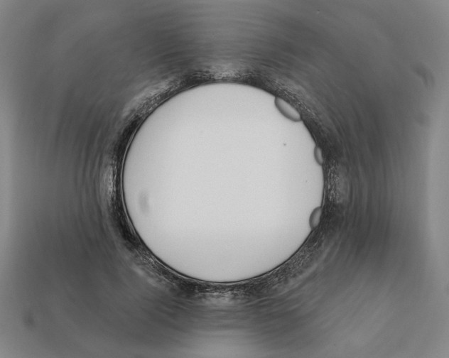 X0000111930740200909071238