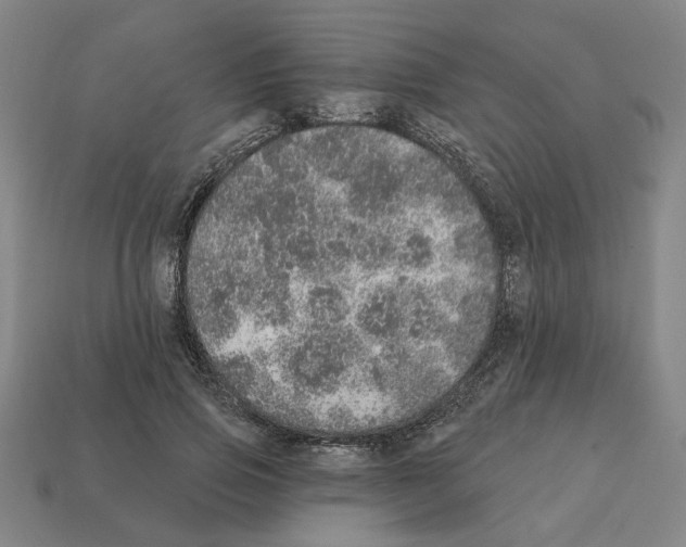 X0000111930741200909071238