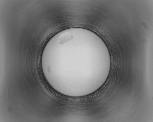 X0000111930742200909071238