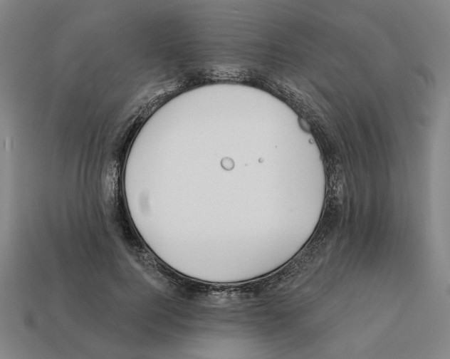 X0000111930744200909071238