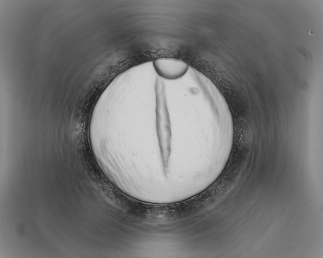 X0000111930745200909071238