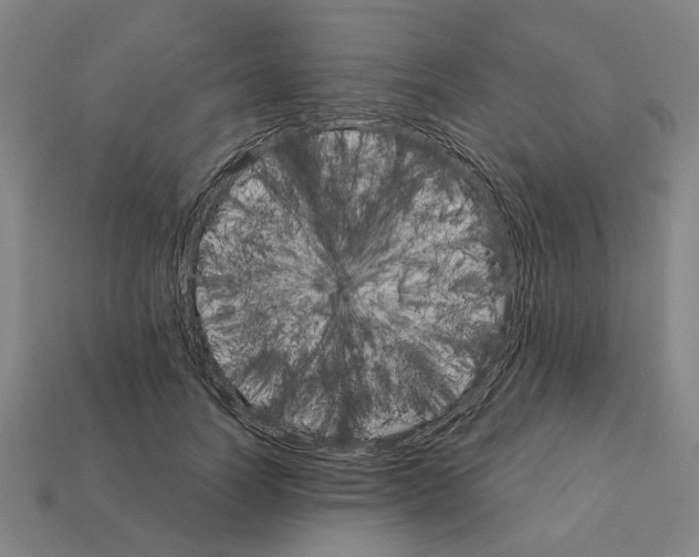 X0000111930746200909071238