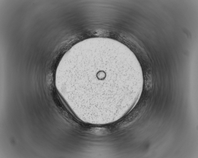 X0000111930748200909071238