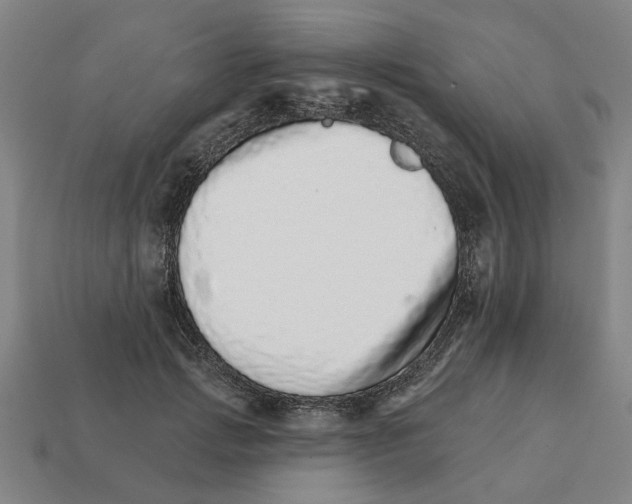 X0000111930749200909071238