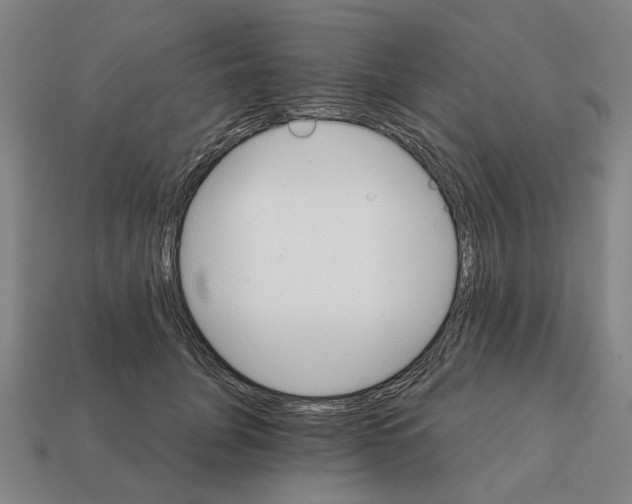 X0000111930751200909071238