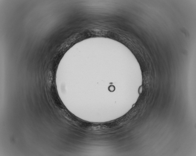 X0000111930752200909071238