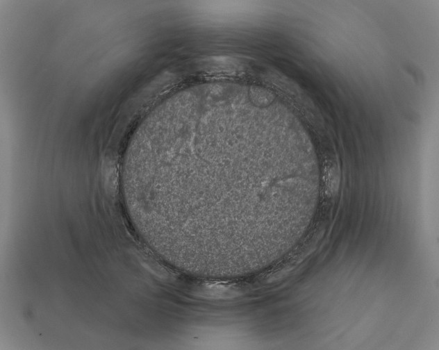 X0000111930753200909071238