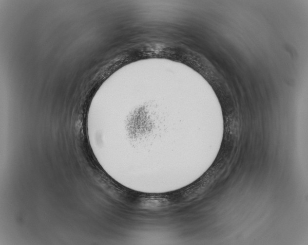 X0000111930754200909071238