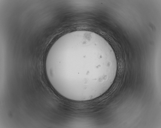 X0000111930755200909071238