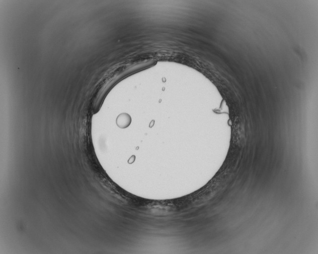 X0000111930756200909071238