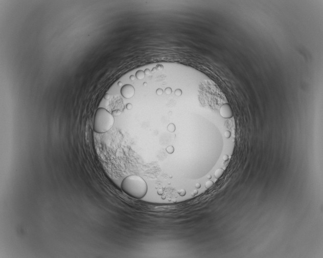 X0000111930758200909071238