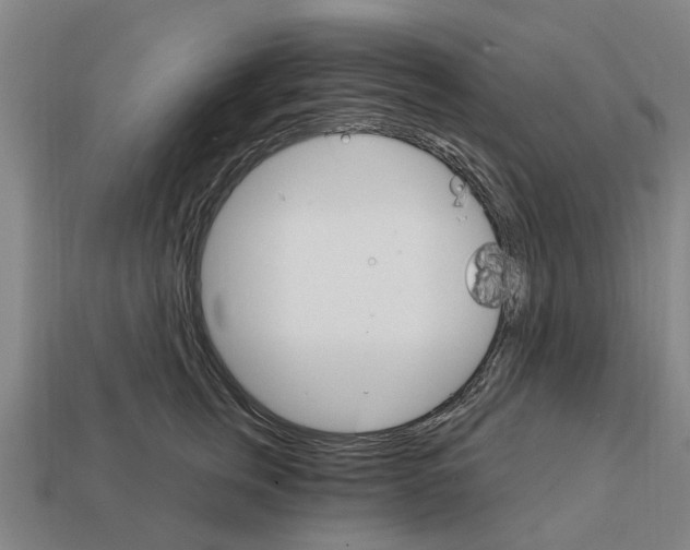 X0000111930759200909071238